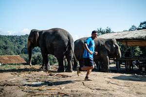 BIB: 
                            <button type="button" onclick="openModal(22422973)" class="btn btn-primary btn-sm float-right btn-popup" data-toggle="modal" data-target=".modal-high-quality">
                        <i class="fas fa-shopping-cart"></i> Add to Cart
                    </button>
                                            <button type="button" onclick="isThisMe(22422973, true)" class="btn btn-success btn-sm float-right btn-popup btn-isme hidden" data-toggle="tooltip" data-placement="bottom" title="นี่คือรูปของคุณใช่ไหม คลิกที่นี่เพื่อเอาเข้าอัลบั้ม">
                        <i class="fas fa-plus"></i> Add to album
                    </button>
                    <button type="button" onclick="isThisMe(22422973, false)" class="btn btn-warning btn-sm float-right btn-popup btn-isnotme hidden">
                        <i class="fas fa-ban"></i> Remove from album
                    </button>